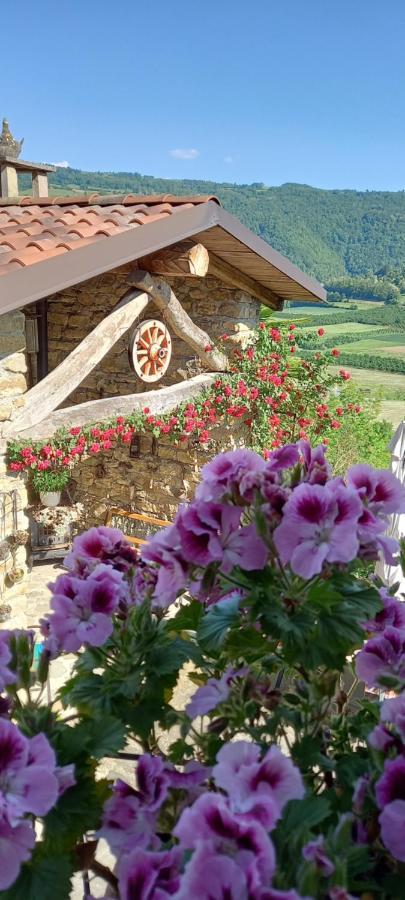 Ca D' Fefi Bed & Breakfast Gorzegno Bagian luar foto